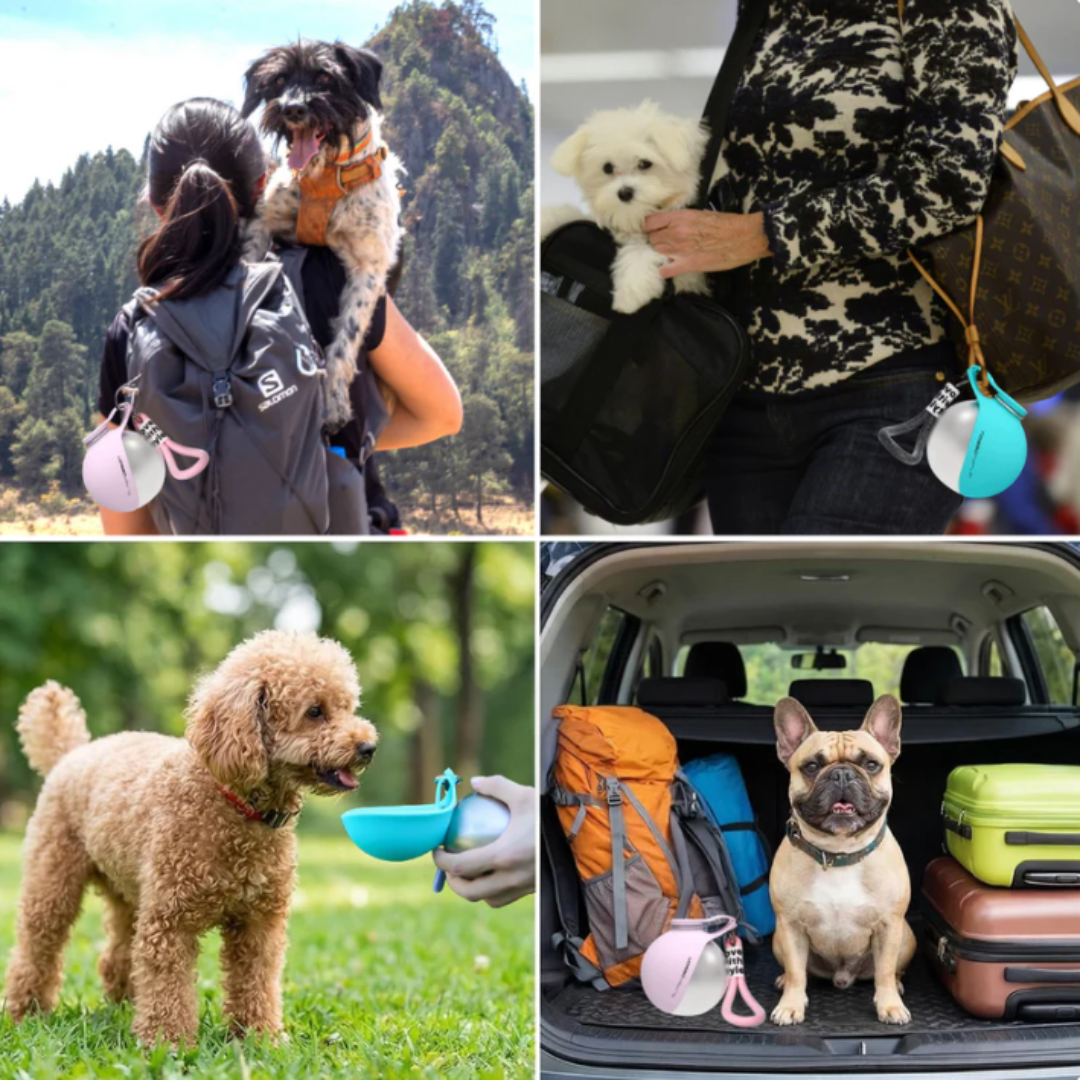 PawVia™ Portable Dog Water Bottle