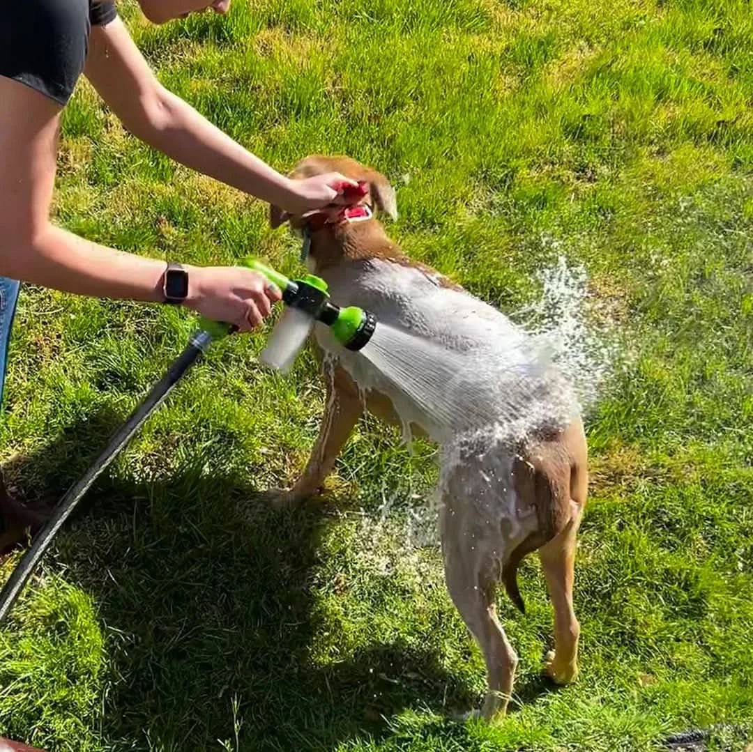 Hydro Paw Hose